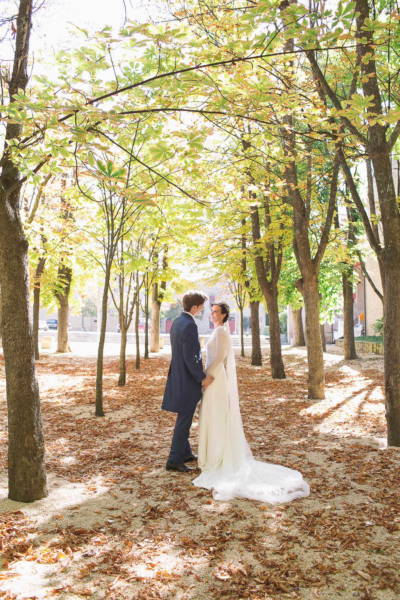 Novios en un paseo de castaños en otoño